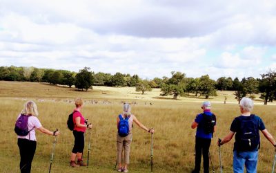 Everybody’s Talking, Nordic Walking