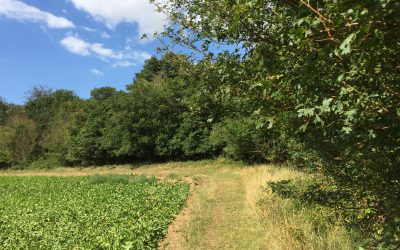 Our Weekly Nordic Walk @ The Coddenham Centre