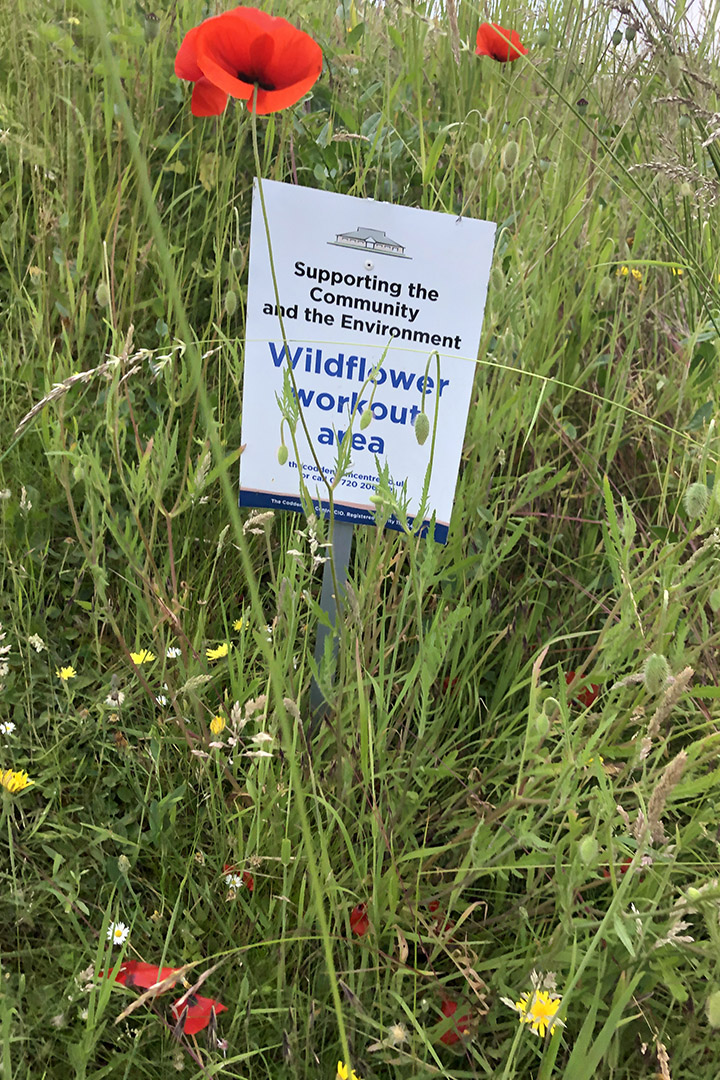 wildflower area at The Coddenham Centre with Signage